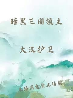 暗黑三国领主
